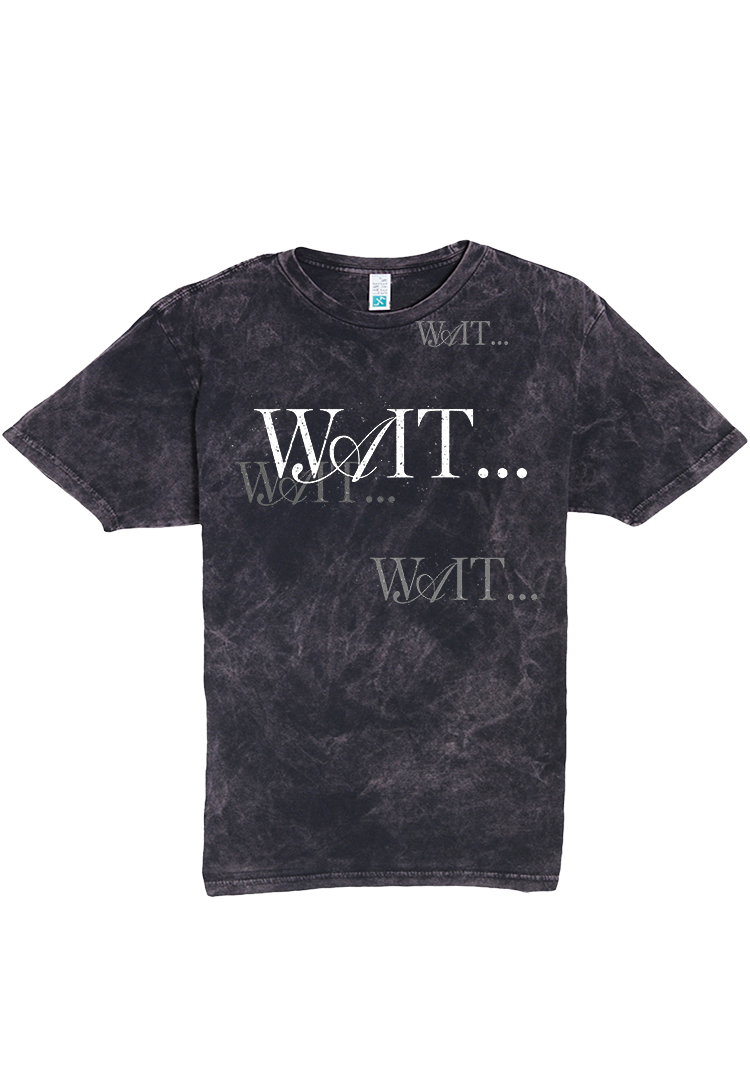 Inayah - WTM Album T-Shirt