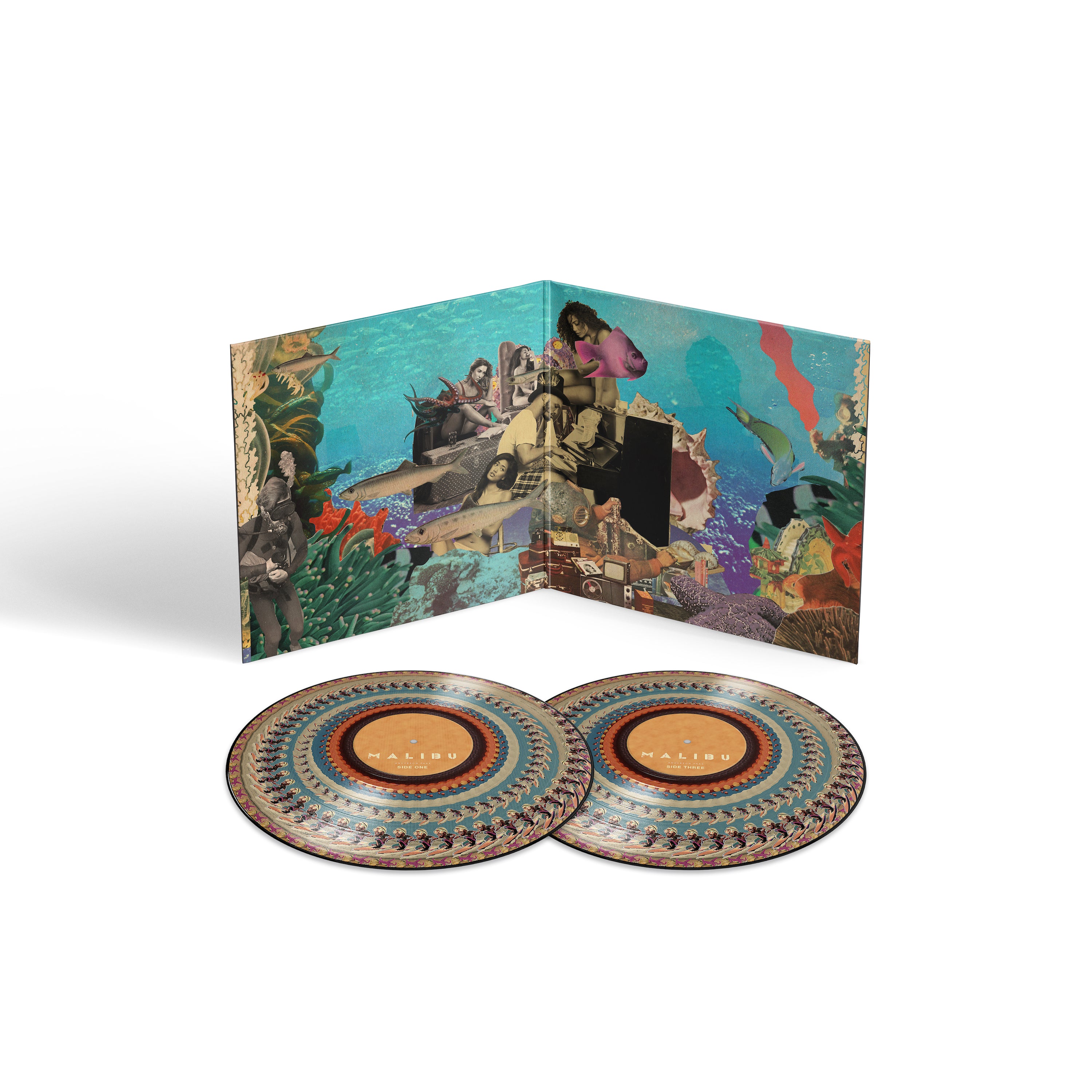 Malibu (10 Year Anniversary Zoetrope Vinyl) – EMPIRE
