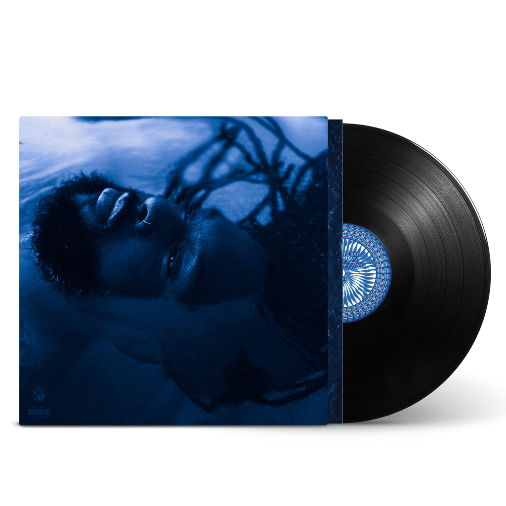 Rexx Life Raj - Blue Hour Vinyl
